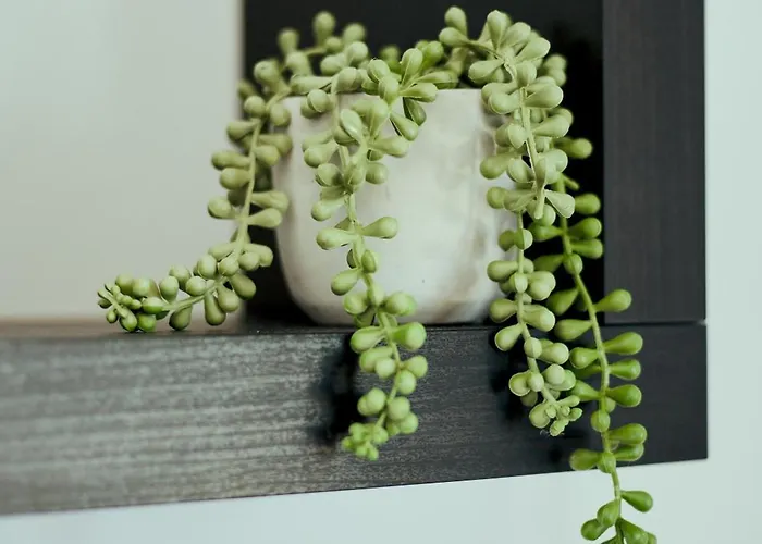 アパート Citrus & Sun Luxury パ フォス