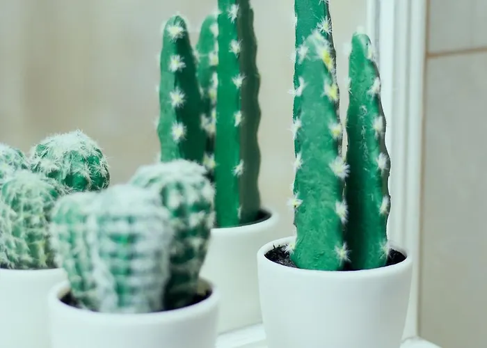 Citrus & Sun Luxury アパート