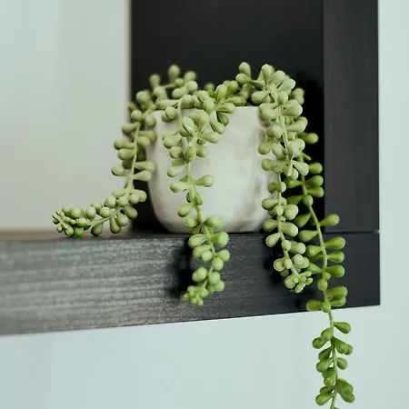 Apartman Citrus & Sun Luxury Paphos